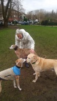/album/fotogalerij/knuffels-op-de-hondenweide-jpg/